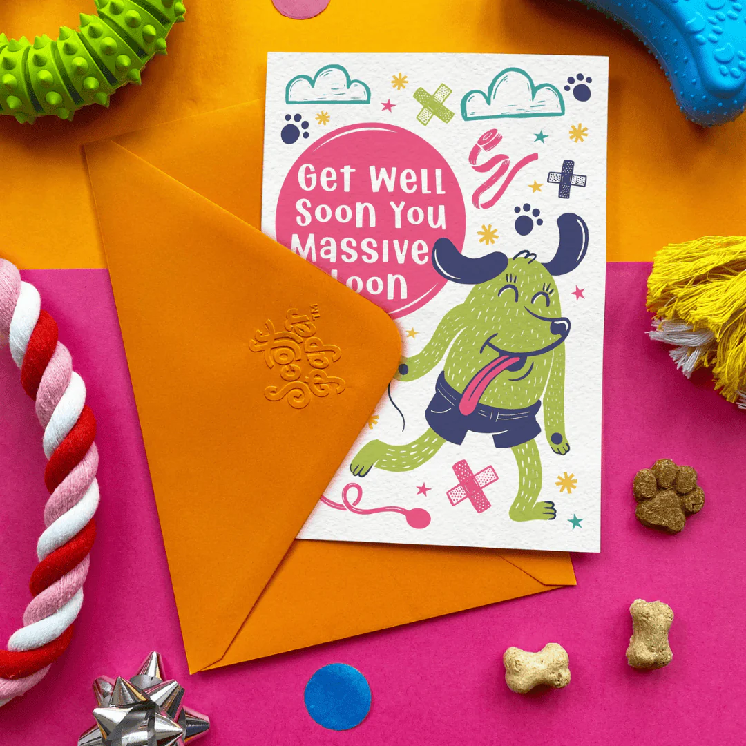 Scoff Paper Edible Cards for Dogs - Get Well Loon - Image 5