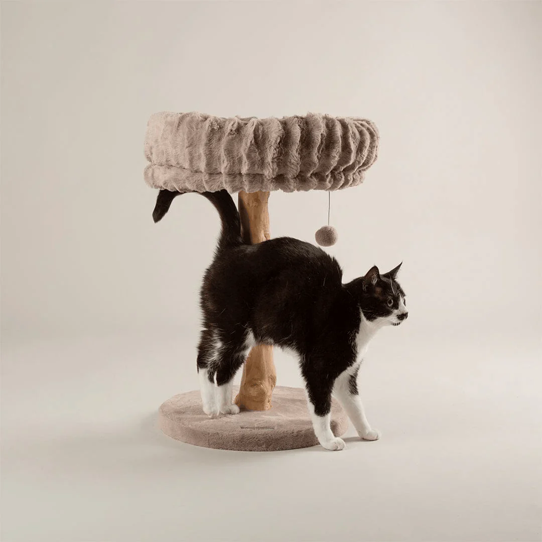 Scruffs Appalachians Cat Tree - Image 10