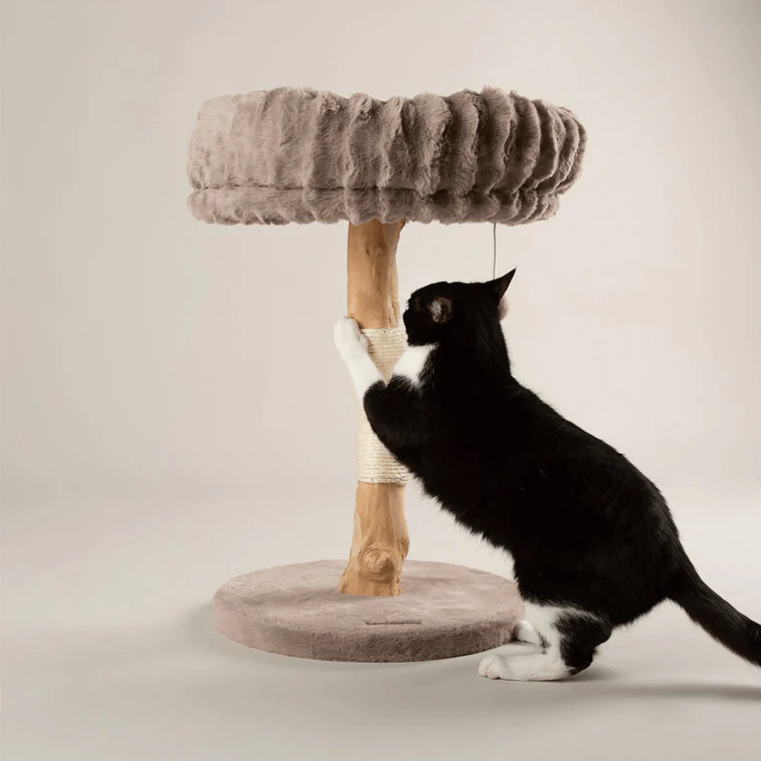 Scruffs Appalachians Cat Tree - Image 7