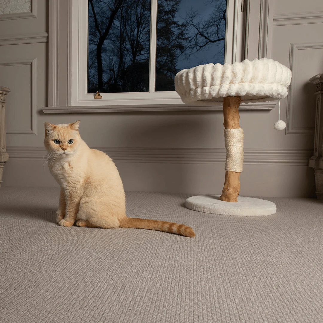 Scruffs Appalachians Cat Tree - Image 8