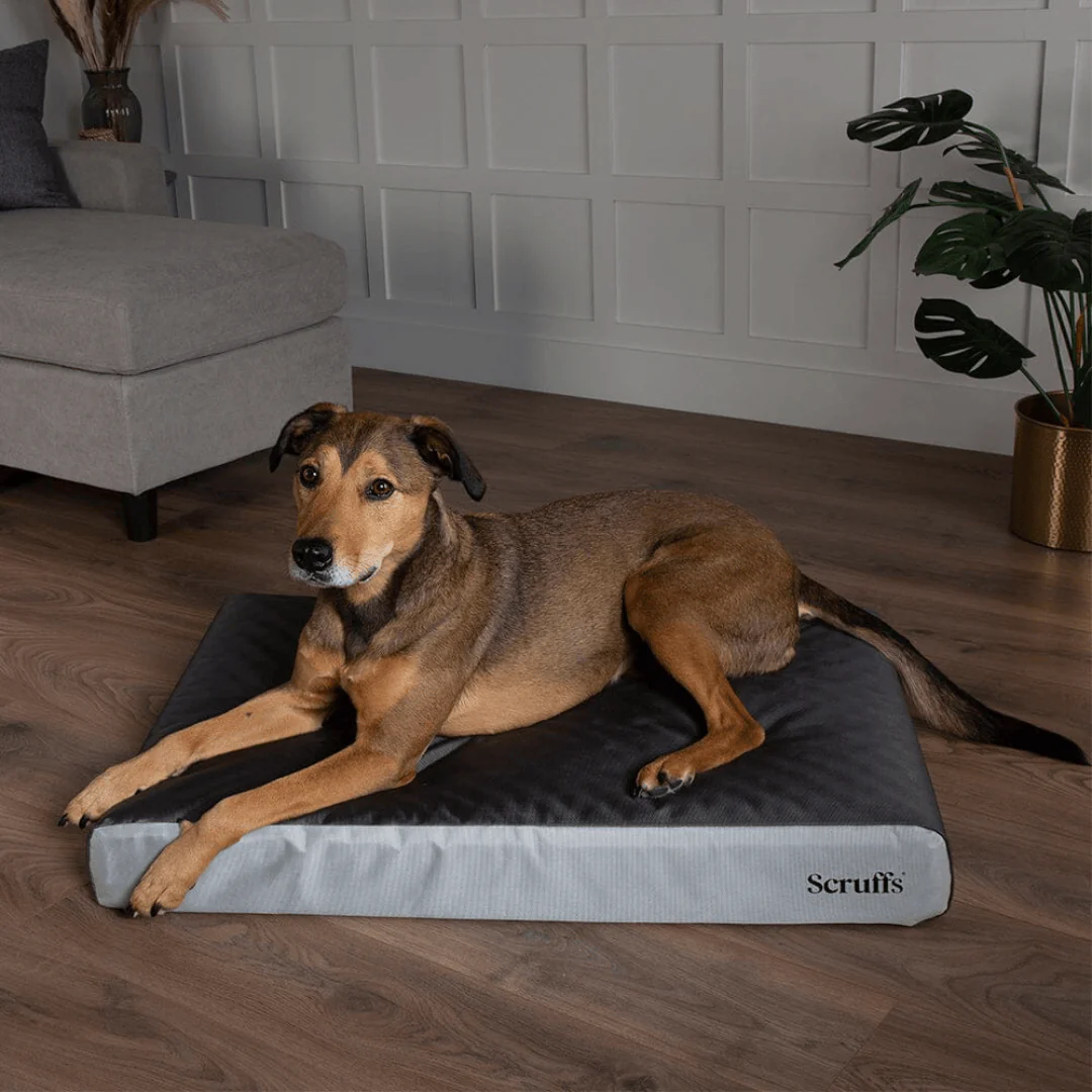 Scruffs ArmourDillo Orthopedic Dog Bed - Image 9
