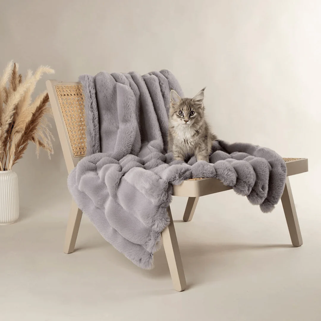 Scruffs Aspen Pet Blanket - Image 3