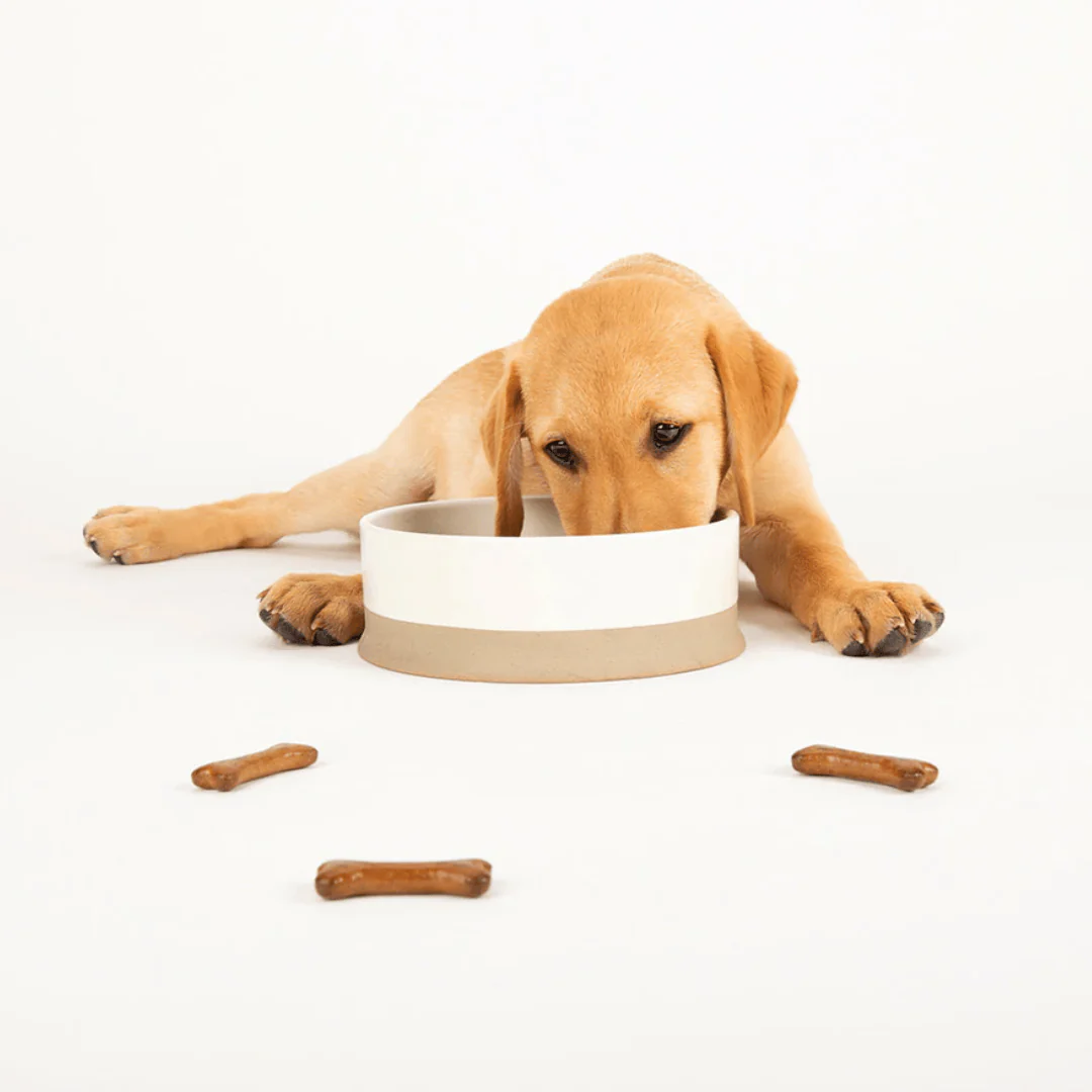 Scruffs Ceramic Non Tip Bowl - Cream - Image 3