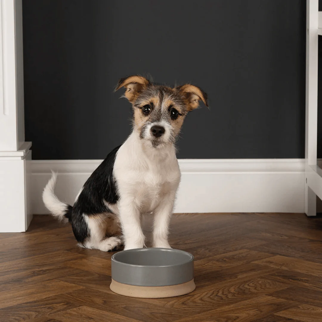 Scruffs Ceramic Non Tip Bowl - Grey - Image 2