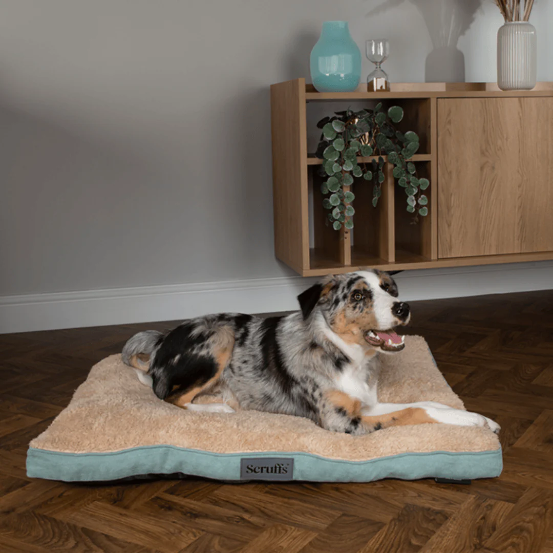 Scruffs Cosy Mattress Dog Bed