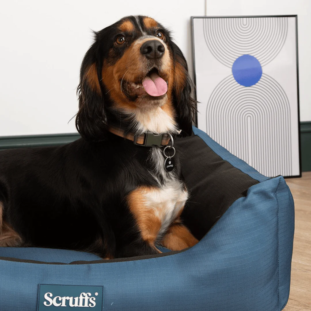 Scruffs Expedition Box Bed - Image 4