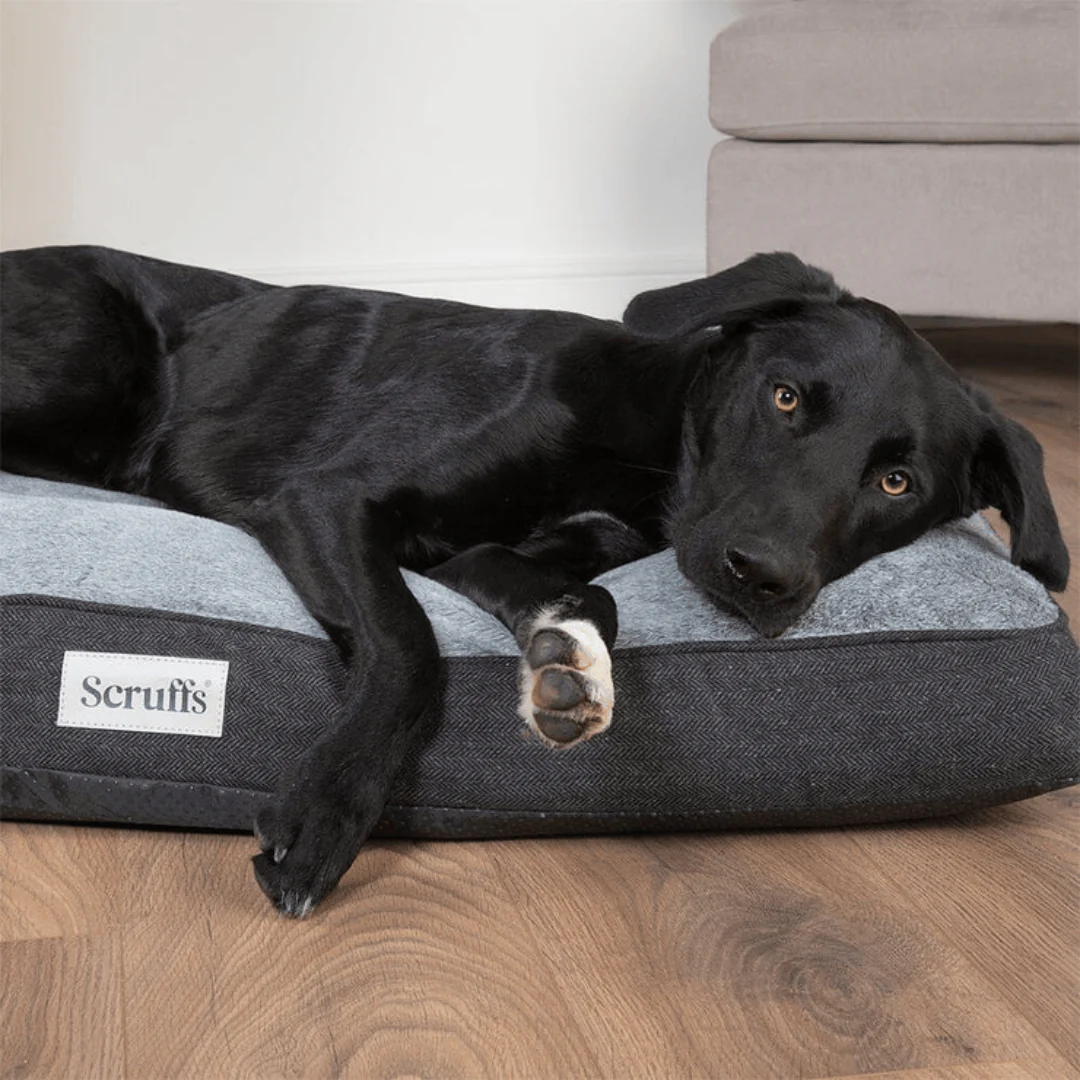 Scruffs Harvard Memory Foam Mattress - Image 4