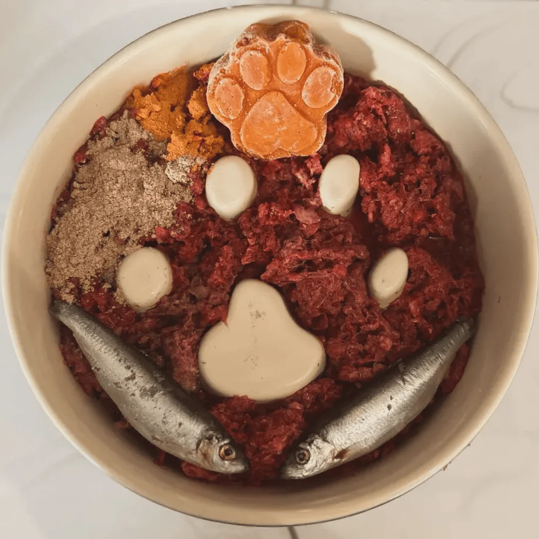 Scruffs Icon Ceramic Slow Feeder Bowl - Image 3