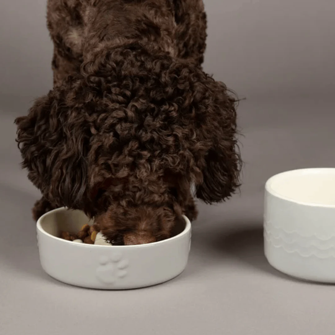 Scruffs Icon Ceramic Slow Feeder Bowl - Image 4