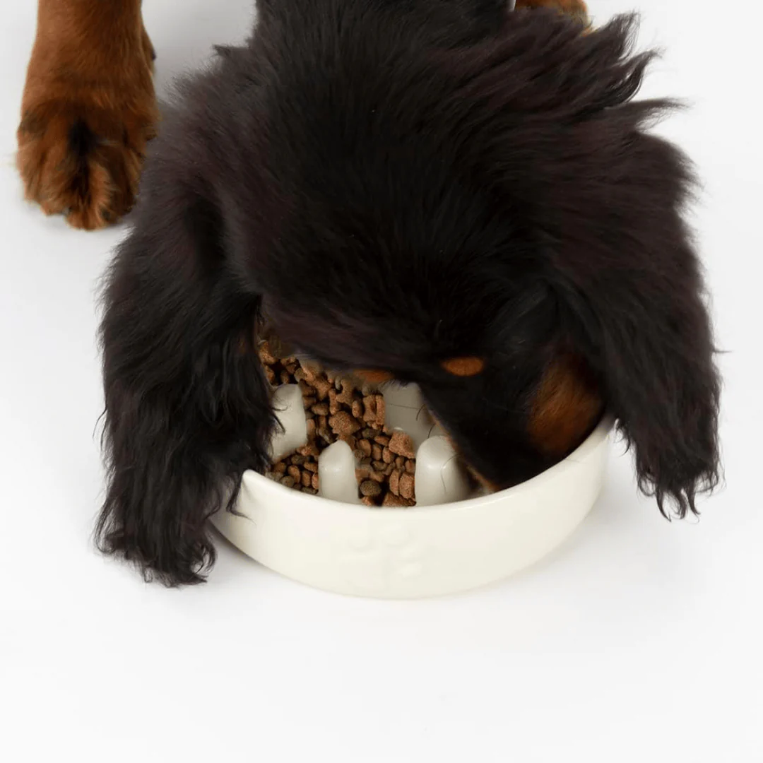 Scruffs Icon Ceramic Slow Feeder Bowl - Image 7