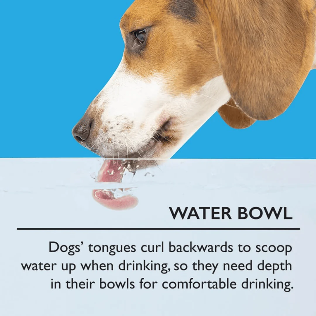Scruffs Icon Cream Water Bowl 15cm - Image 4