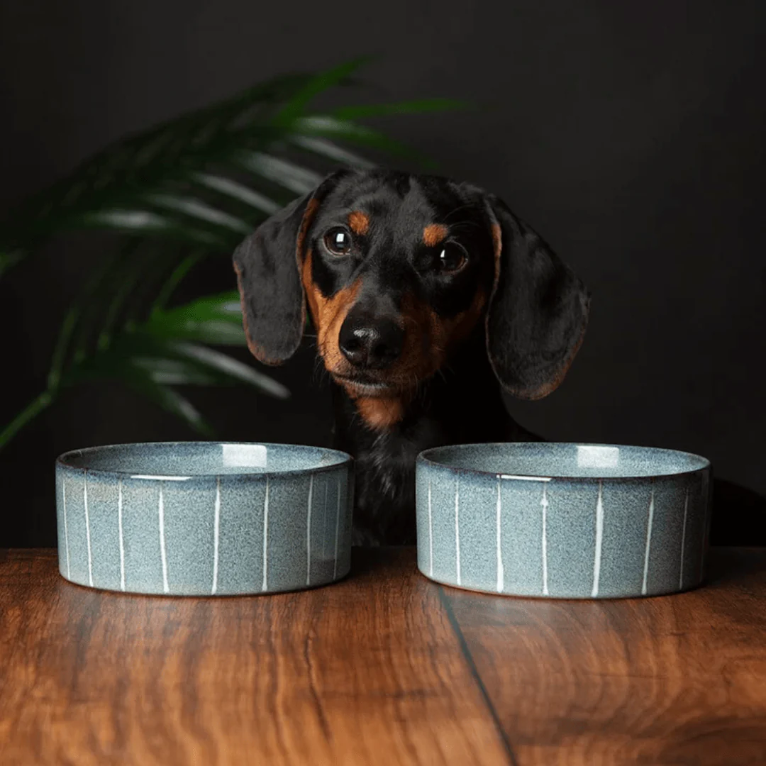 Scruffs Reactive Glaze Pet Bowl - Pinstripe Grey - Image 3