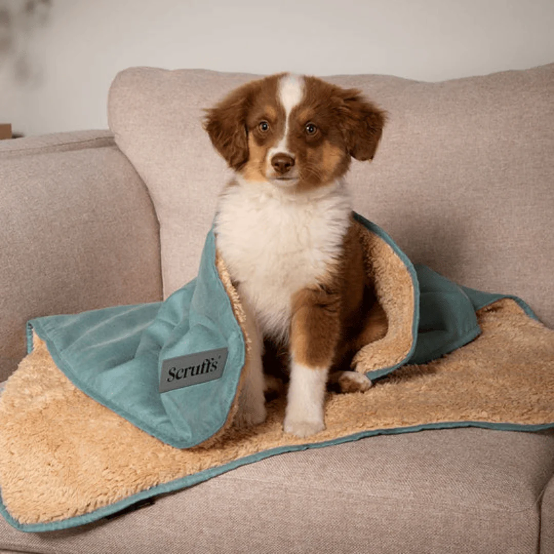 Scruffs Snuggle Pet Blanket - Image 3