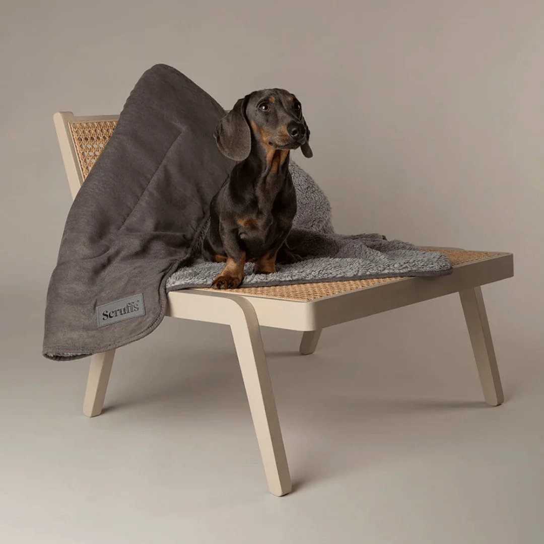 Scruffs Snuggle Pet Blanket - Image 9