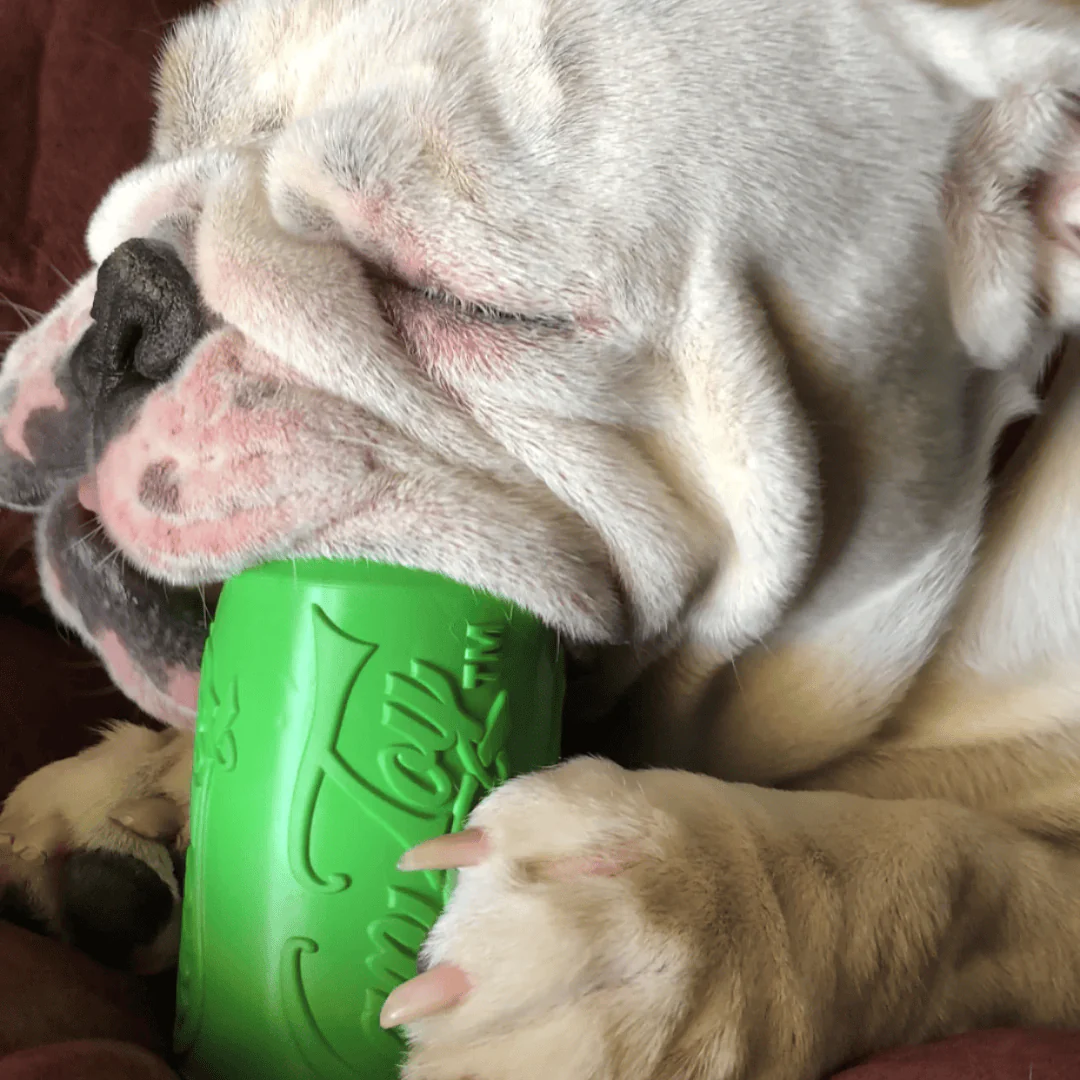 SodaPup Durable Soda Can Chew and Treat Toy - Image 6