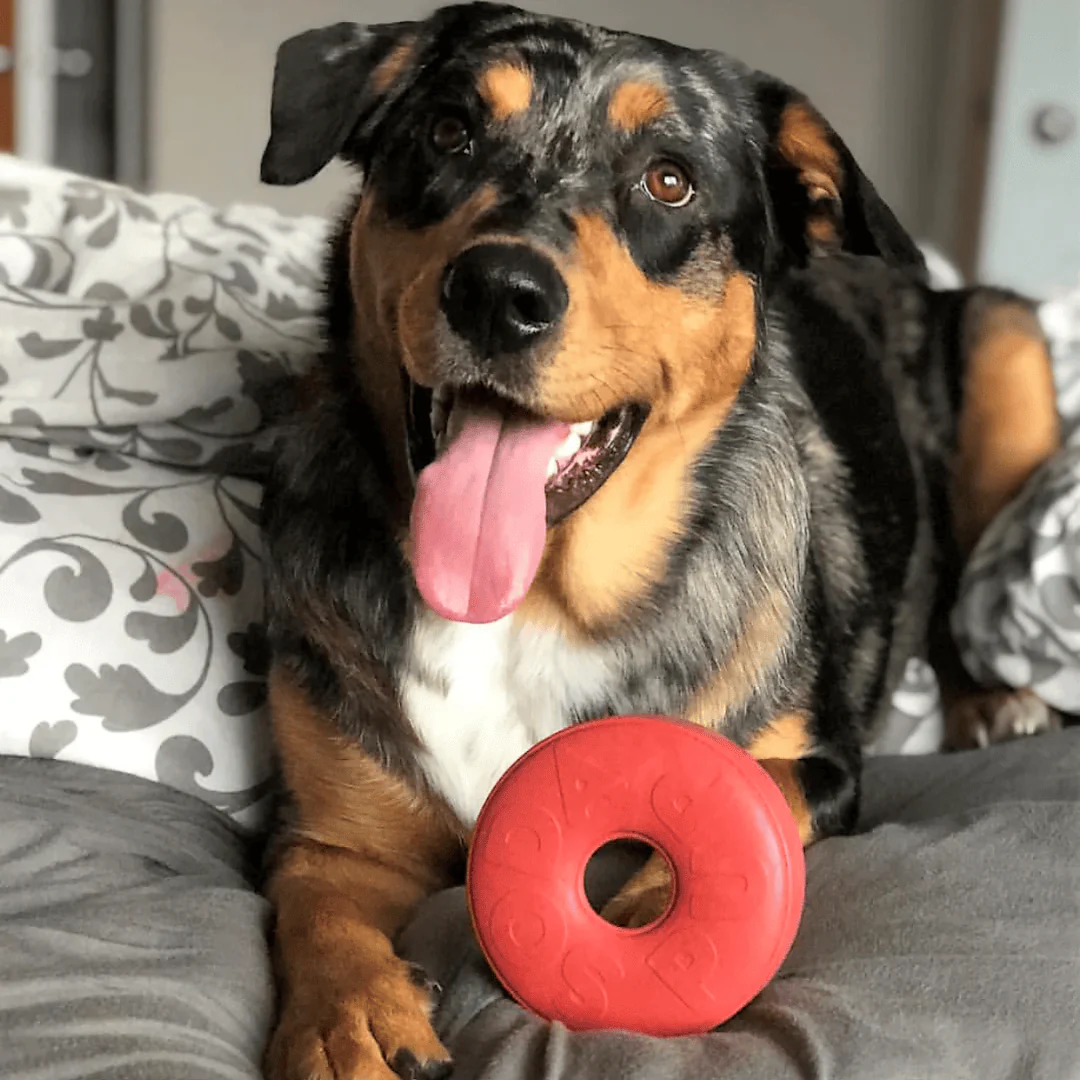 SodaPup Life Ring Durable Chew & Dispenser - Image 2
