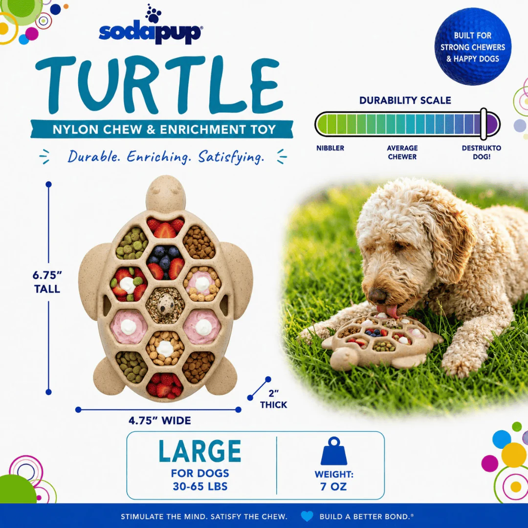 SodaPup Turtle Nylon Chew Toy and Enrichment Tray - Image 3