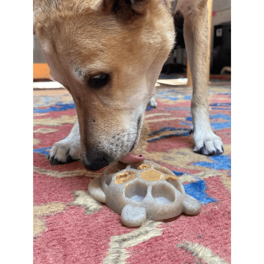 SodaPup Turtle Nylon Chew Toy and Enrichment Tray - Image 5