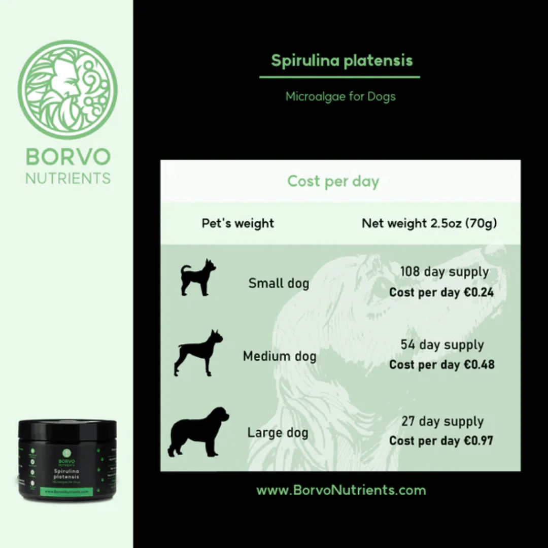 Spirulina platensis for Dogs - Borvo Nutrients - Image 5
