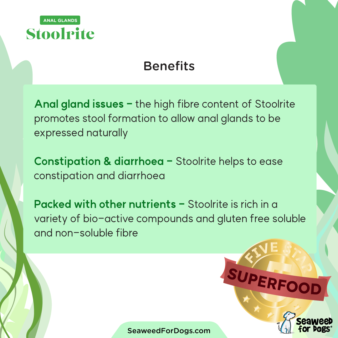 Stoolrite - Image 3
