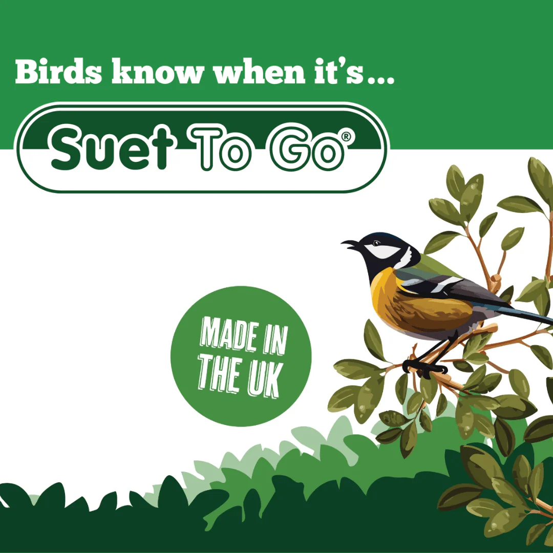 Suet Pellets To Go Insect Flavour - Image 3
