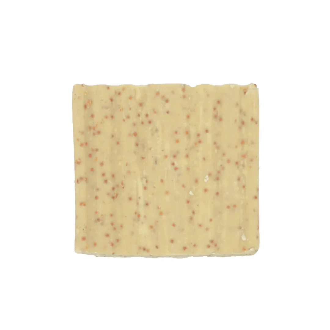 Suet To Go Suet Block With Mealworms 280g - Image 4