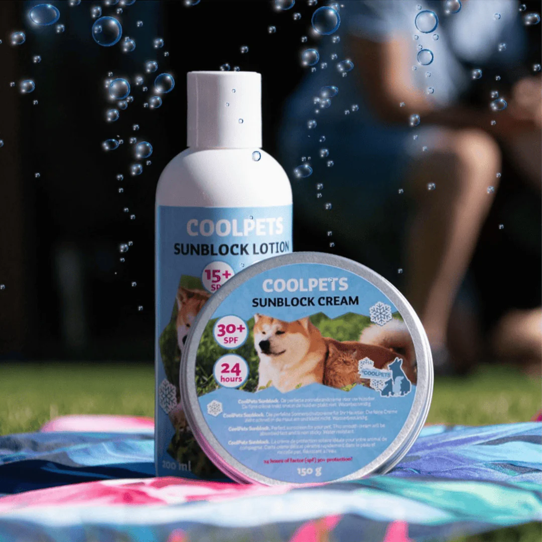 Sunscreen for Dogs - Image 4