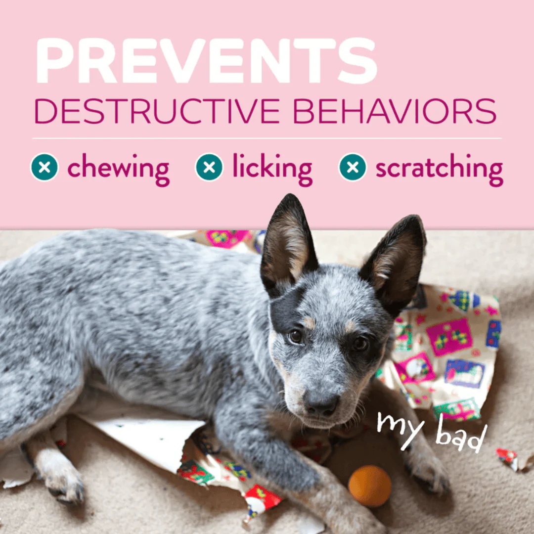 TropiClean Chew Stop Behavior Aid Puppy Spray 236ml - Image 2