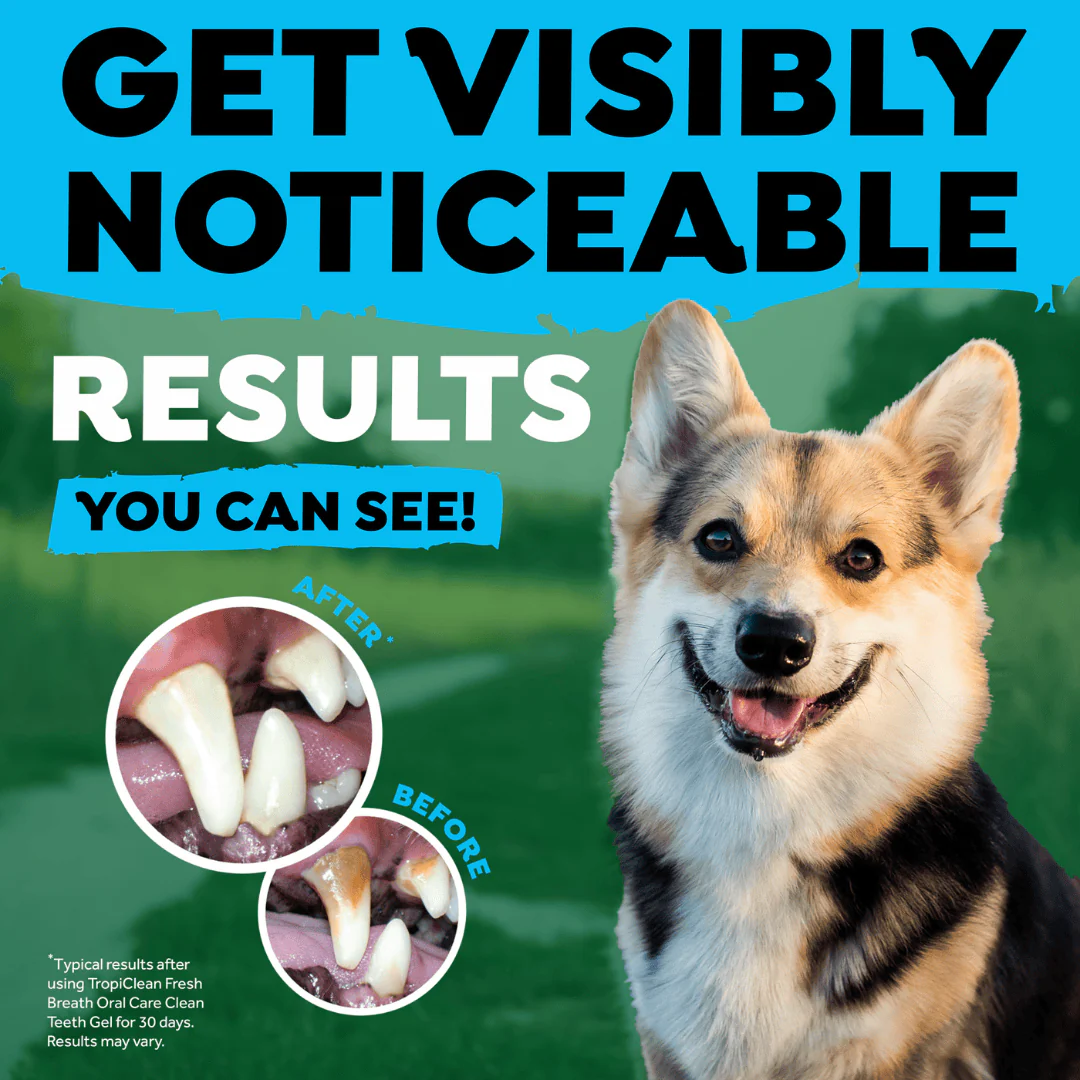 TropiClean Triple Flex Dog Toothbrush - Image 3