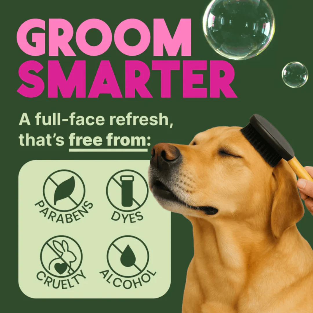Tropiclean Waterless Deep Cleaning Shampoo for Pets - Image 3