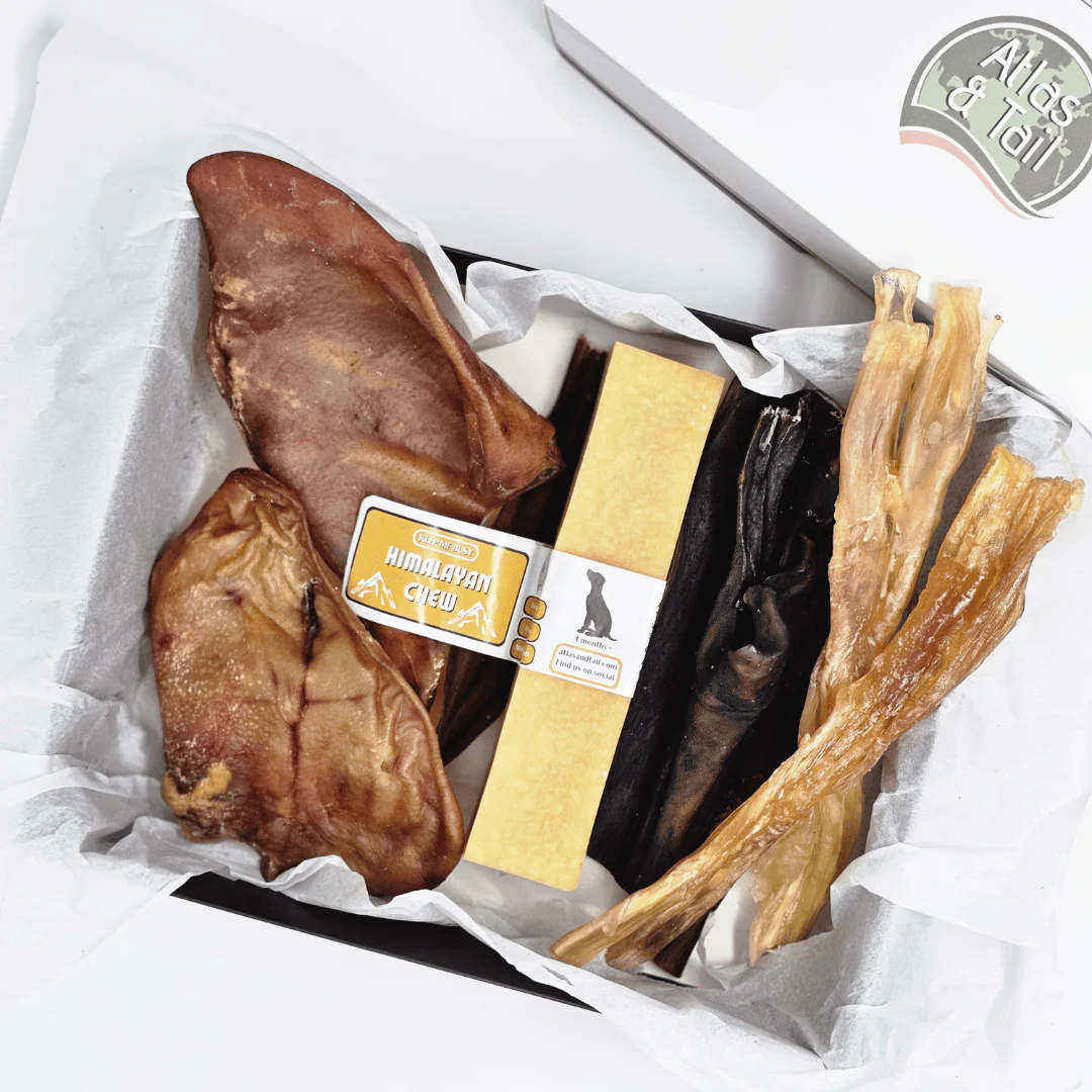 Ultimate Chew Box - Image 2