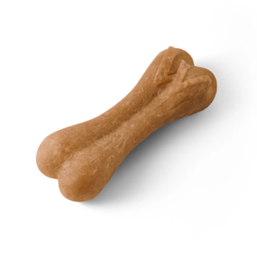 Whimzees Daily Dental Treats Rice Bone 4 Pack - Med/Lrg Dogs - Image 3