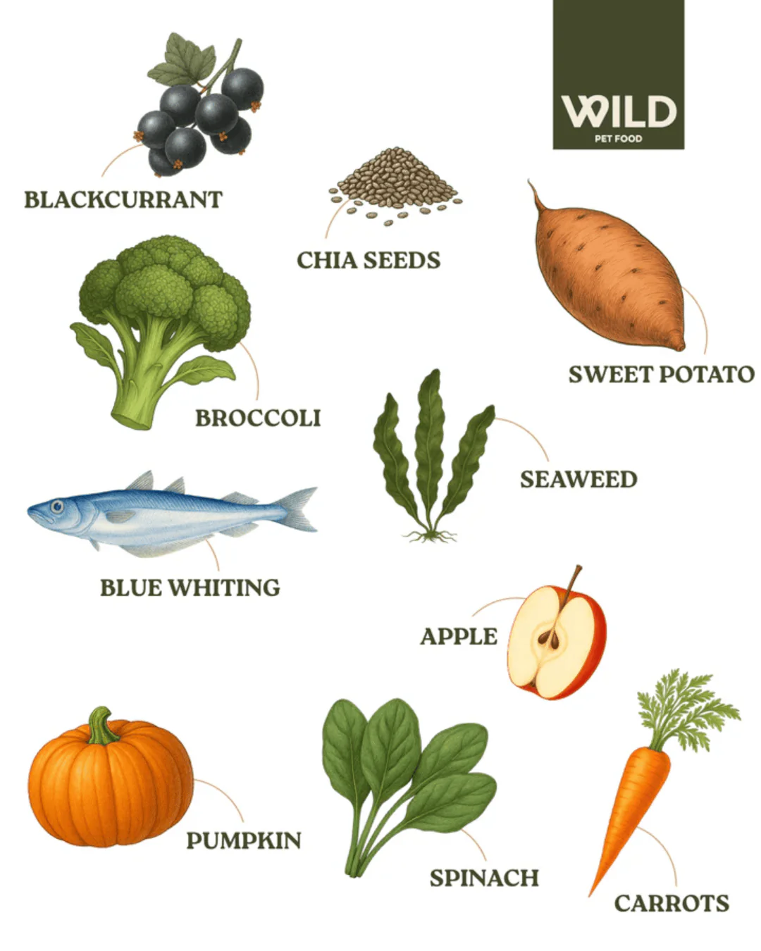 Wild 80:20 Fish Cold Pressed Dog Food - Image 3