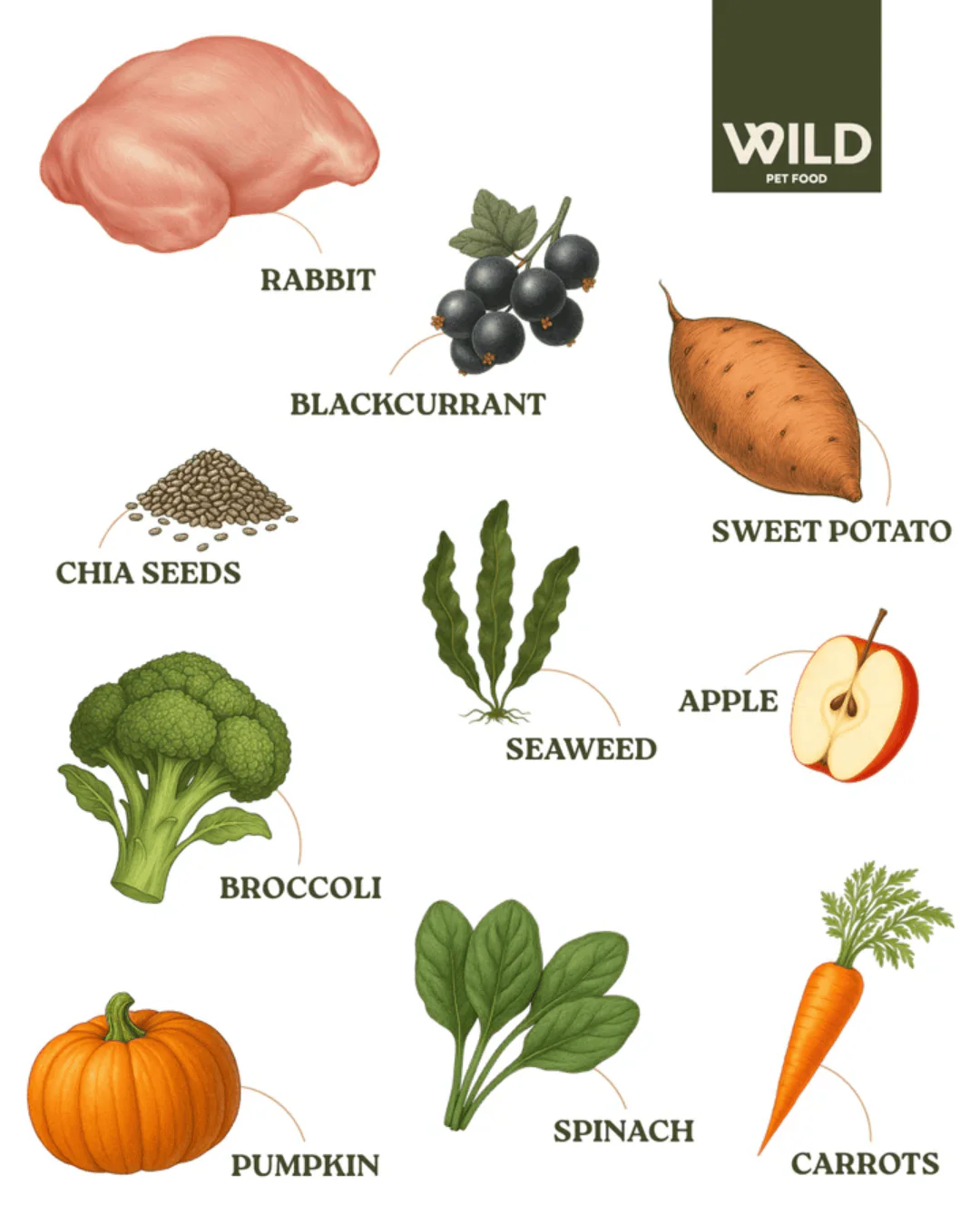 Wild 80:20 Rabbit Cold Pressed Dog Food - Image 3