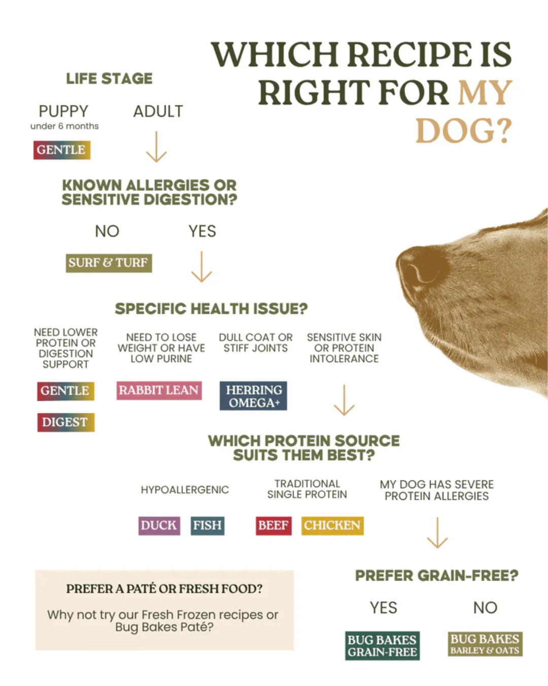 Wild 80:20 Surf & Turf Cold Pressed Dog Food - Image 8