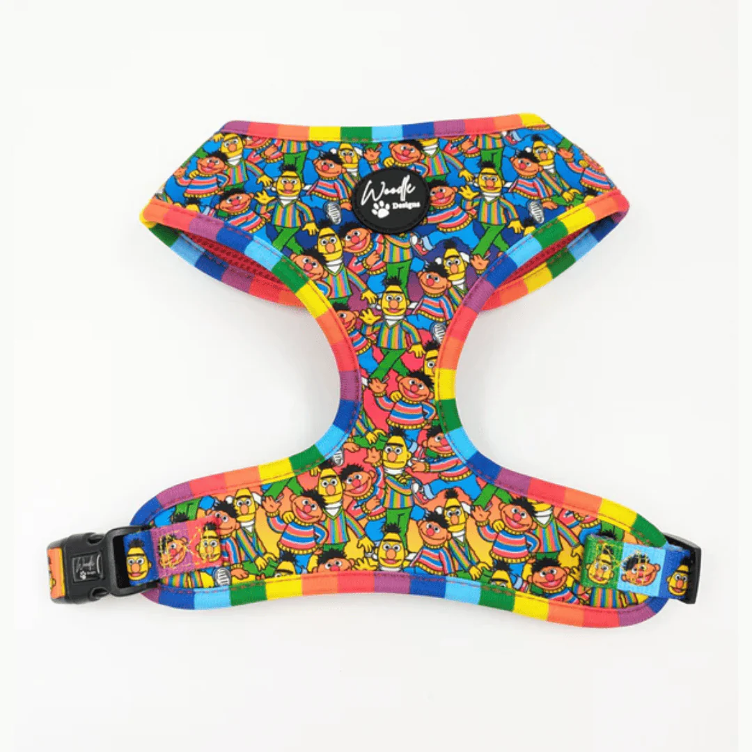 Woodle Sesame Street Bert & Ernie Harness