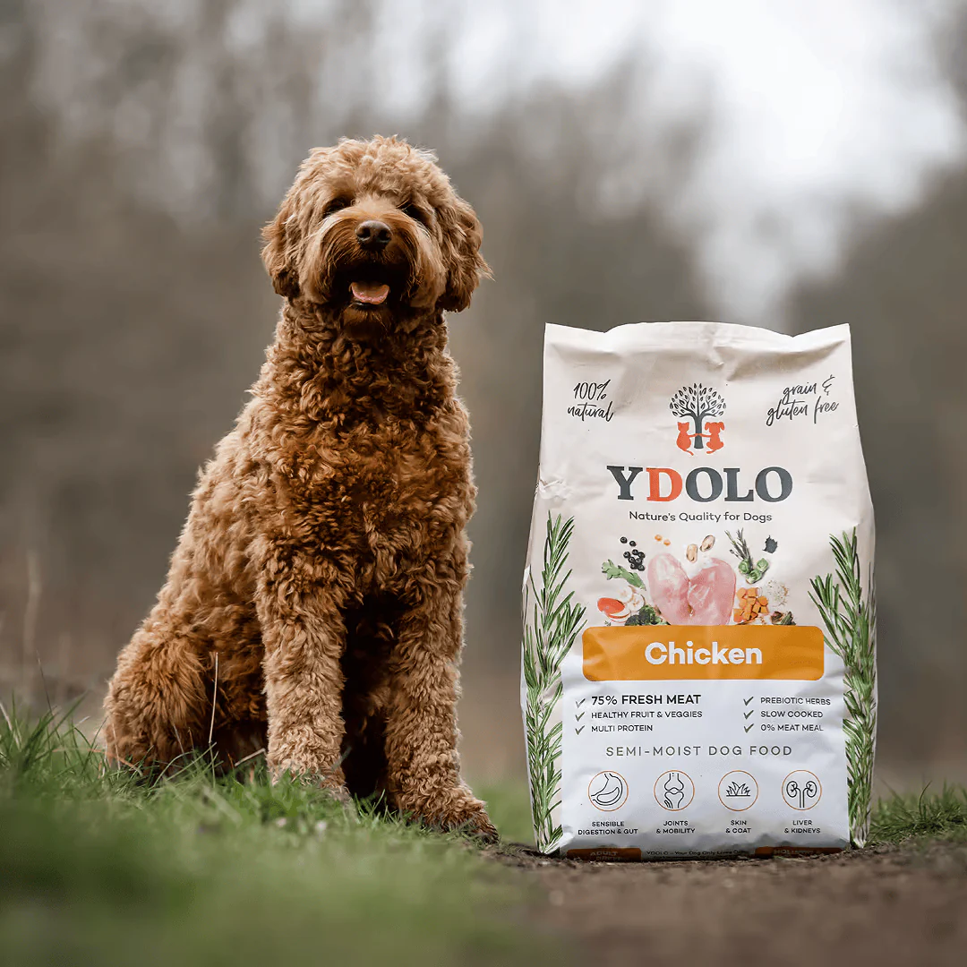 Ydolo Chicken Semi Moist Cold Pressed Dog Food - Image 4