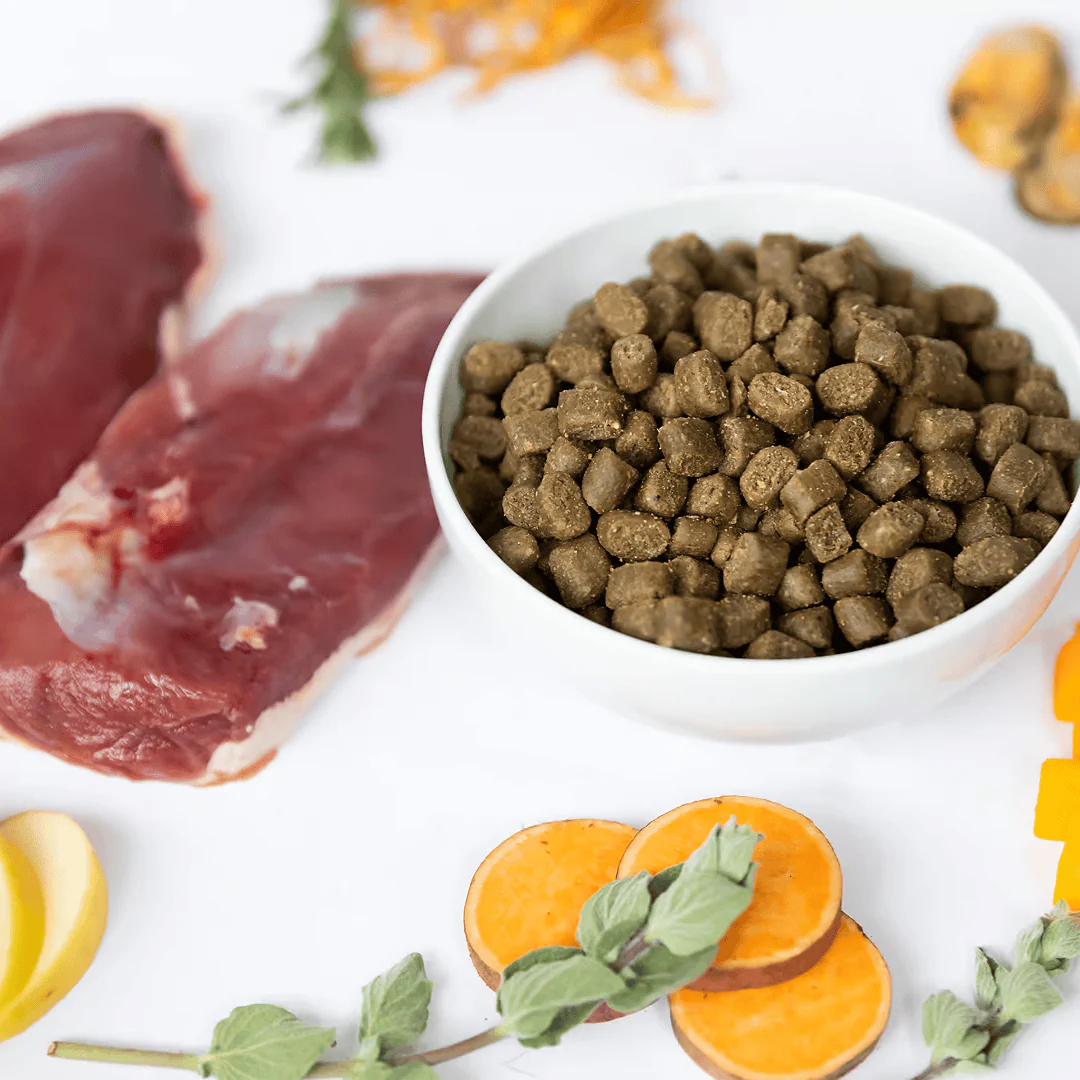 Ydolo Duck Semi Moist Cold Pressed Dog Food - Image 2