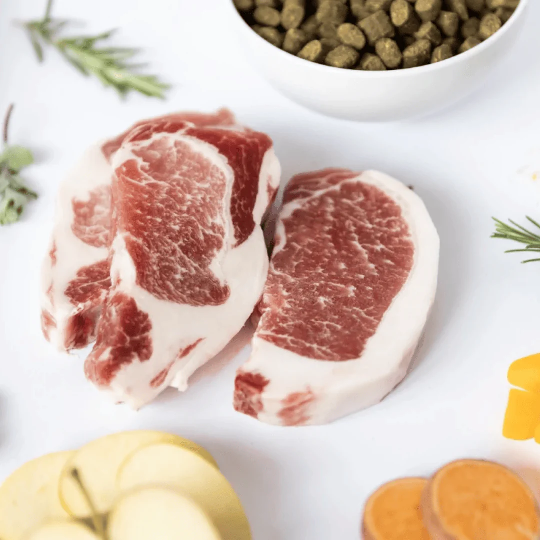 Ydolo Iberico Pork Semi Moist Cold Pressed Dog Food - Image 5