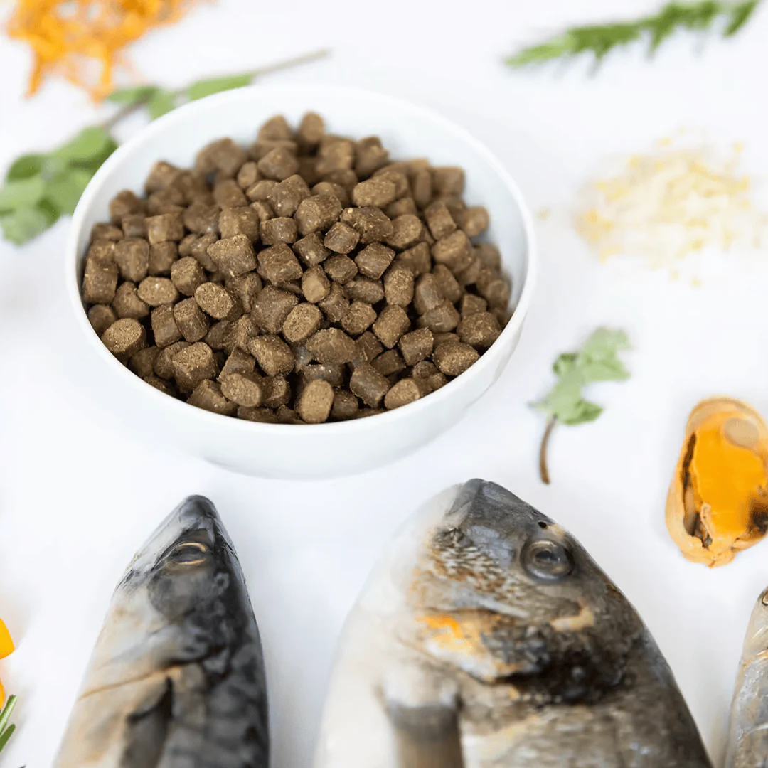 Ydolo Wild Fish Semi Moist Cold Pressed Dog Food - Image 2