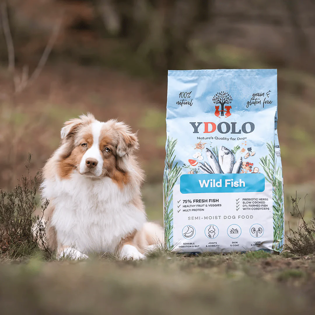 Ydolo Wild Fish Semi Moist Cold Pressed Dog Food - Image 3