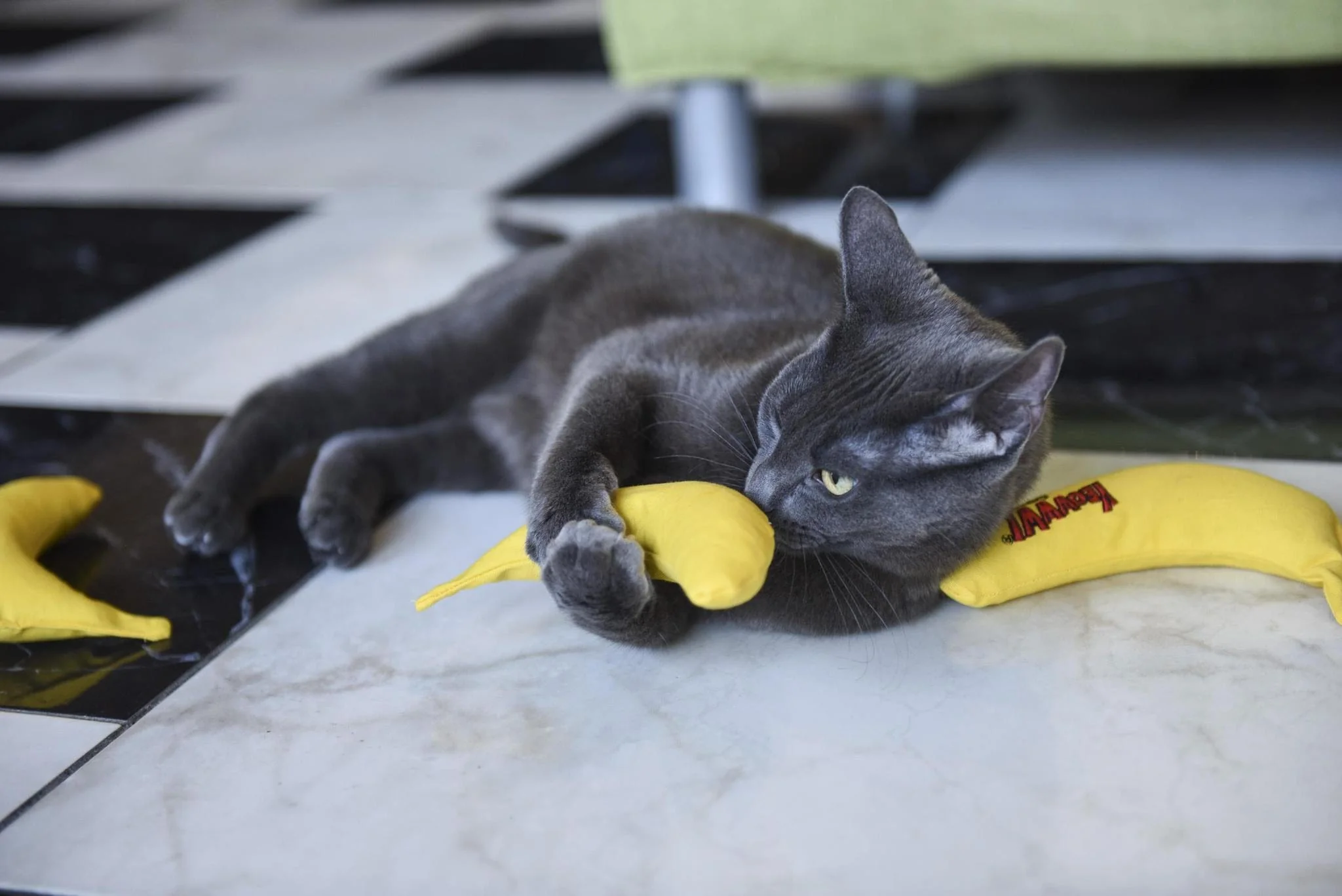 Yeowww! Chi-CAT-a Catnip Banana - Image 7