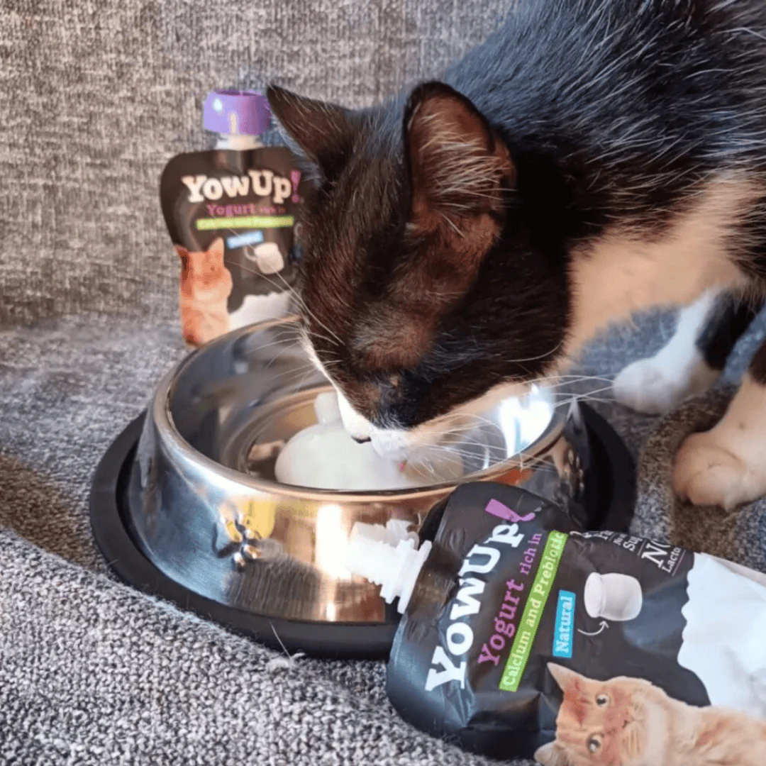 YowUp! Cat Yoghurt - Natural Prebiotics - Image 2