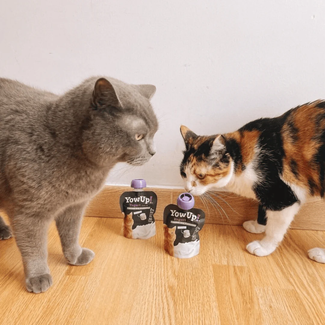 YowUp! Cat Yoghurt - Natural Prebiotics - Image 4
