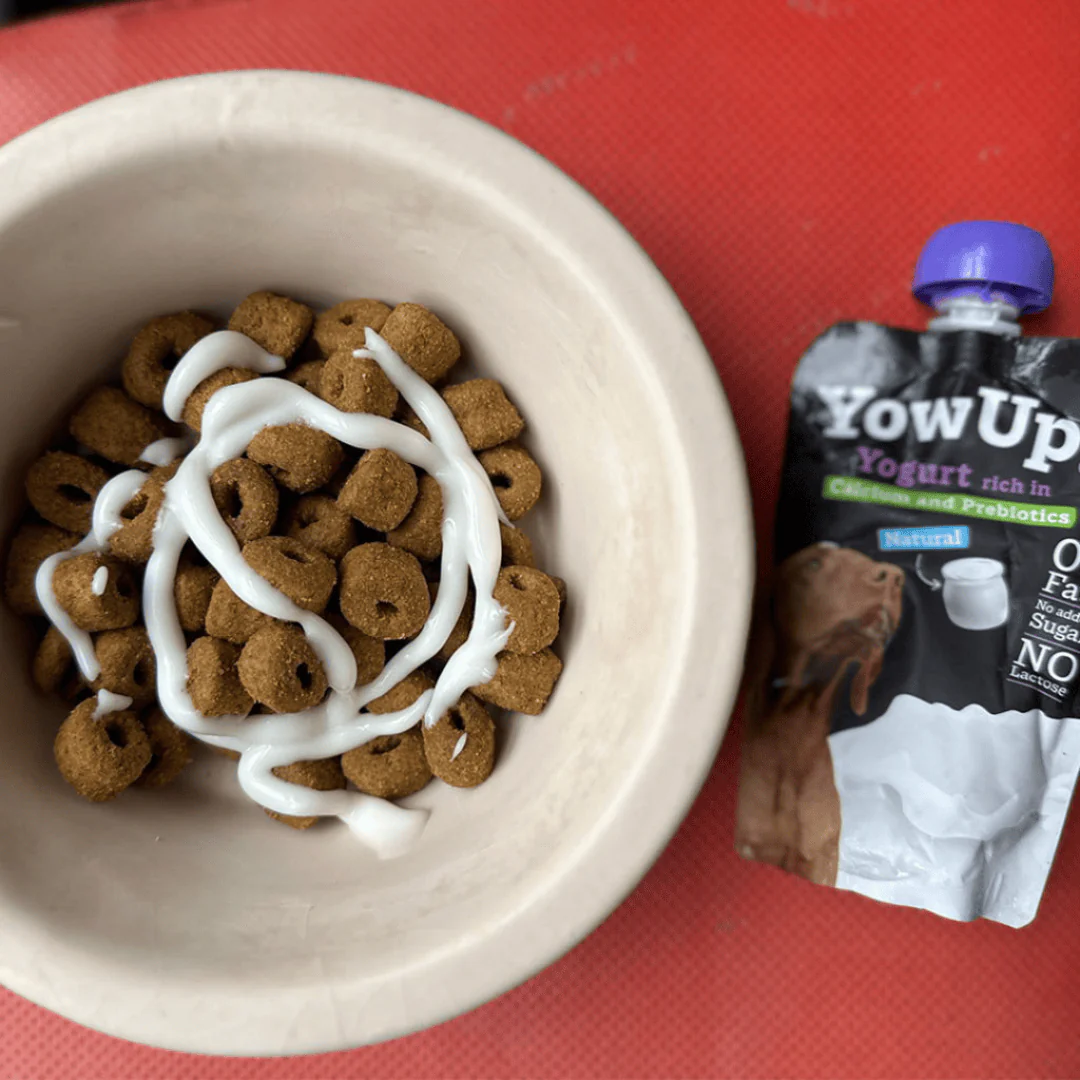YowUp! Cat Yoghurt - Natural Prebiotics - Image 5