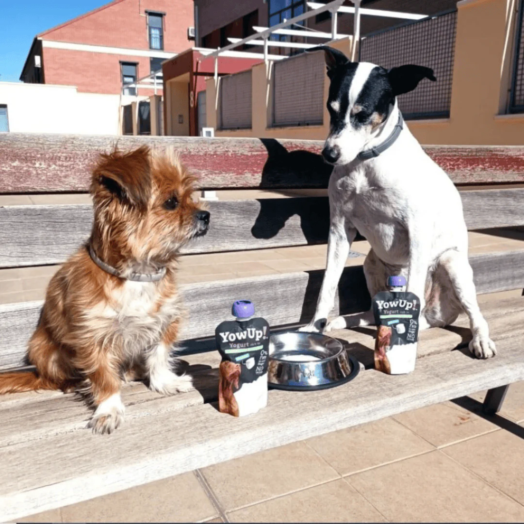 YowUp! Dog Yoghurt - Turkey L.Casei Probiotics - Image 5