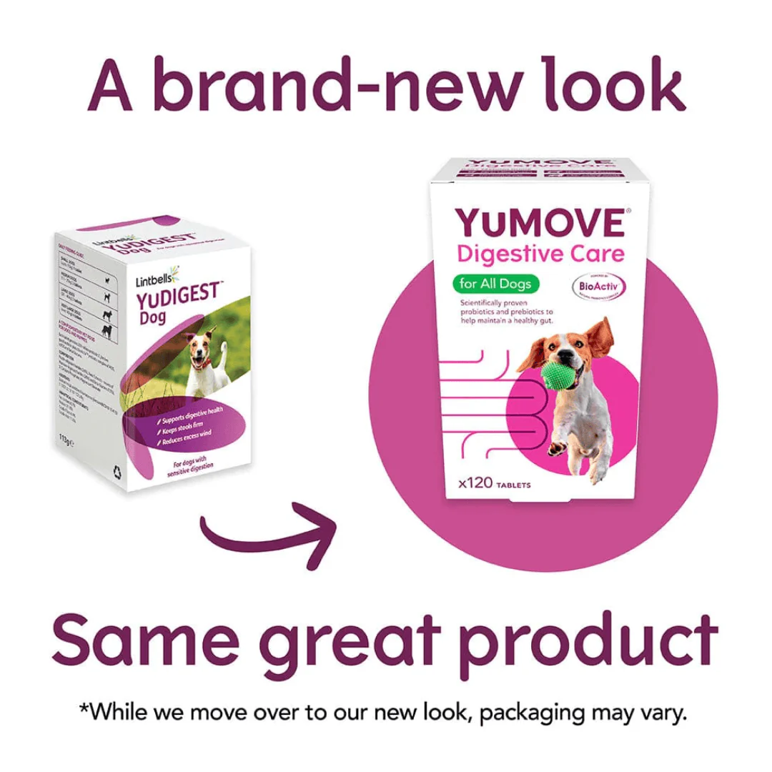 YuMove Digestive Care for Dogs - Image 4