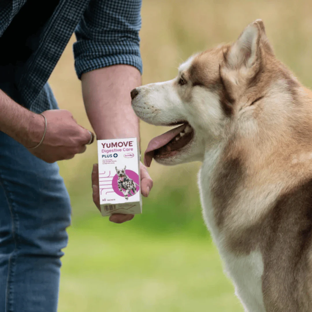 YuMove Digestive Care PLUS Sachets - Image 2
